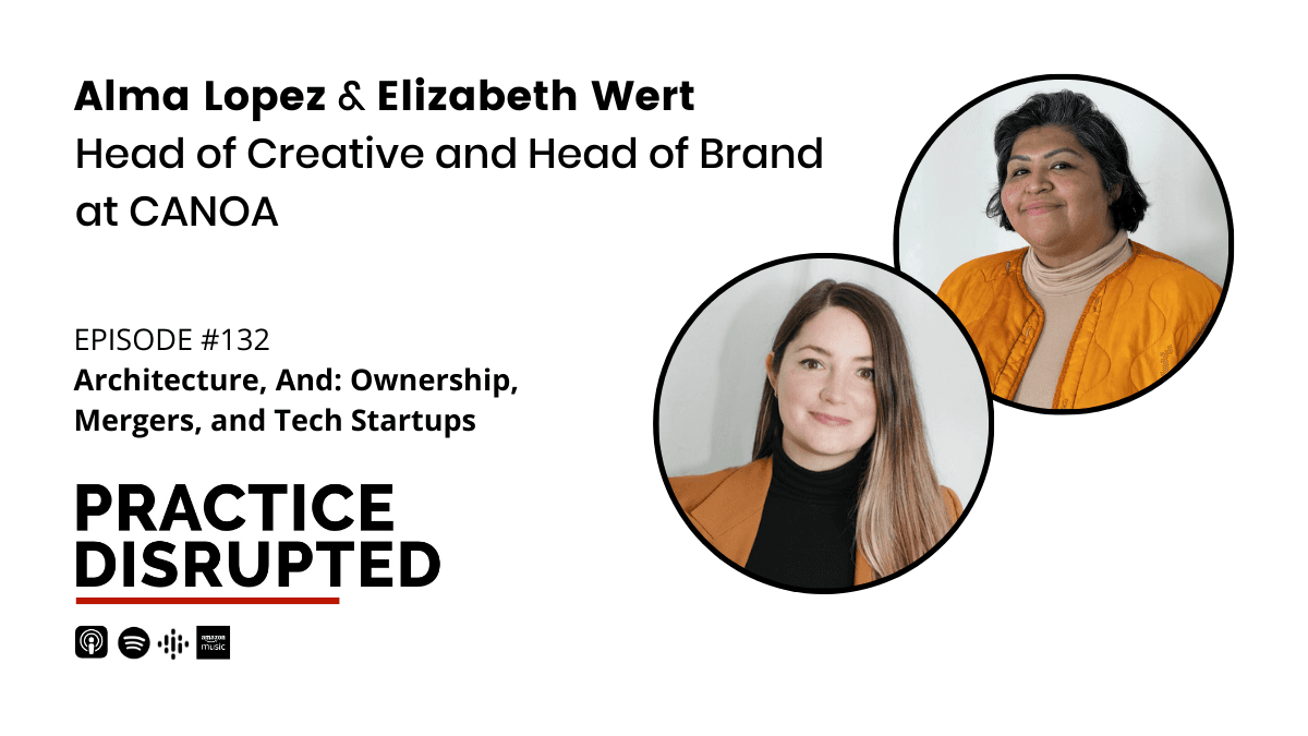 Episode art: Architecture, And: Ownership, Mergers, and Tech Startups